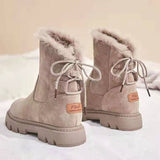 Wild Plus Velvet Cotton Shoes
