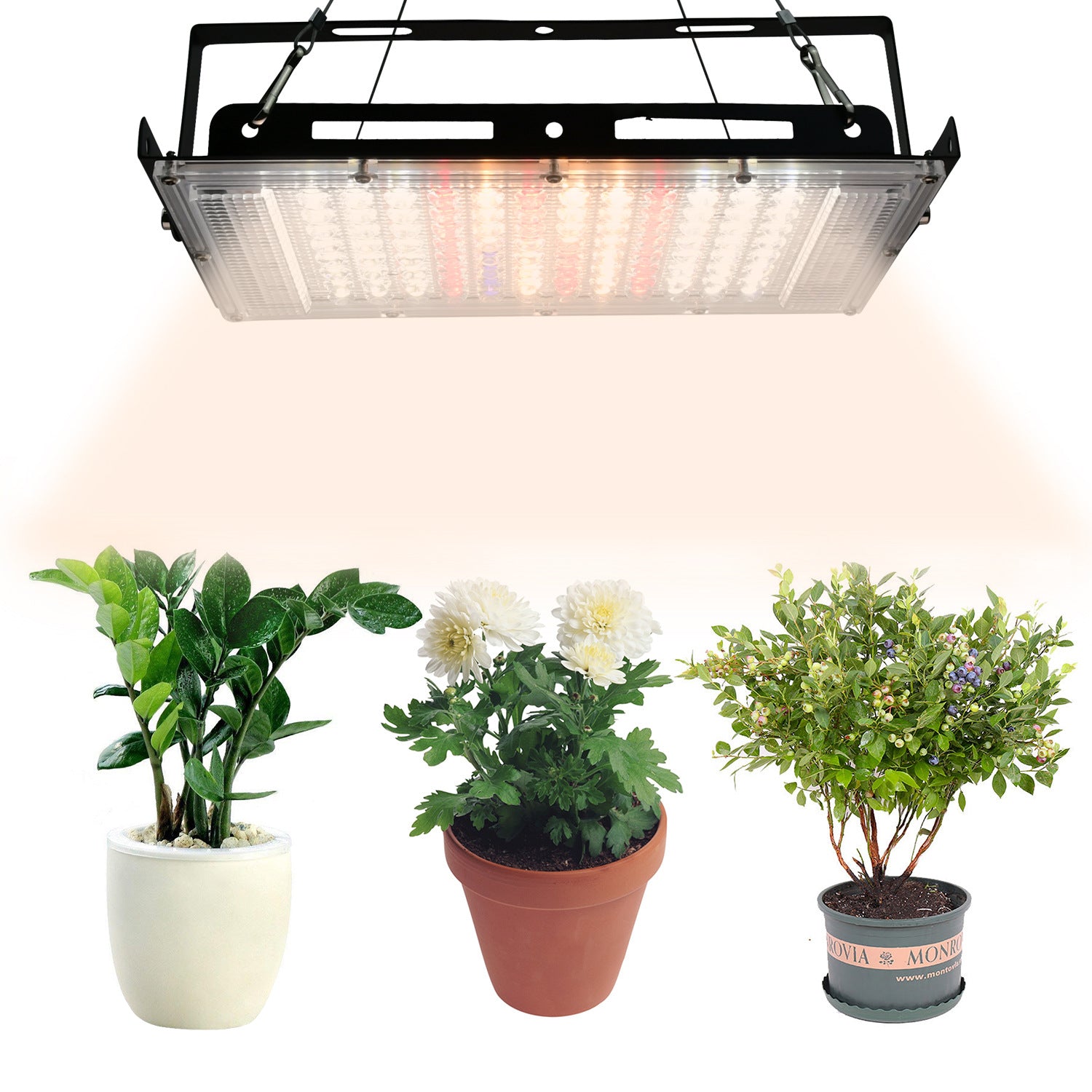 Full spectral plant fill light cross-border multi meat greenhouse vegetable melon fruit LED