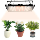 Full spectral plant fill light cross-border multi meat greenhouse vegetable melon fruit LED