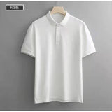 Summer ice silk lapel short-sleeved Cotton T-shirt